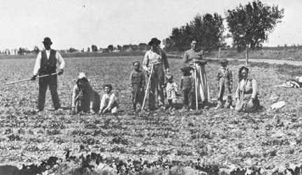 German Russian Beet Workers