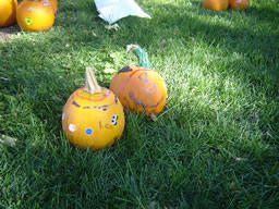 Pumpkins