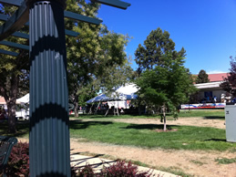 Arts' picnic