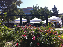 view of booths