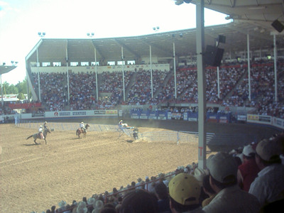Bull crashing