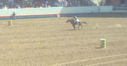 barrell race